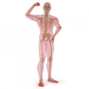 Health bones Super health sprays