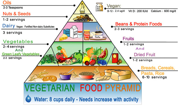 Source for vegetarion food